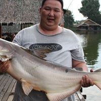 Stephen Lin Photo 18