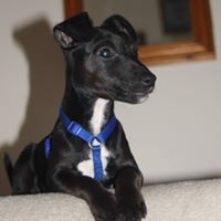 Julie Moorehead Photo 14