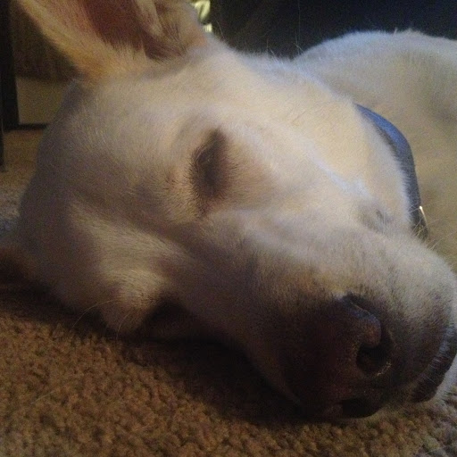 Jonathan Simms Photo 35