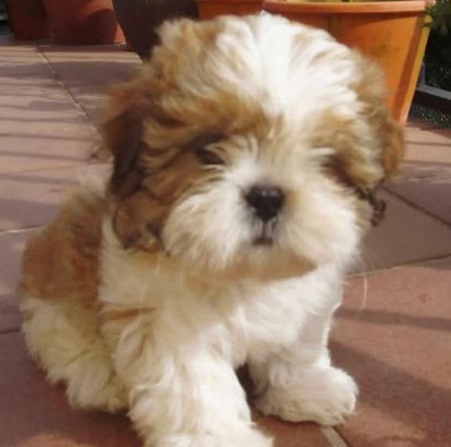 Erick Gomez Photo 34