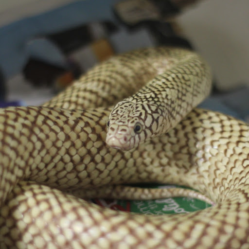 Sandra White Photo 14