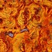 Rusty Rust Photo 12