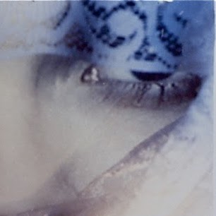 Robin Levine Photo 35