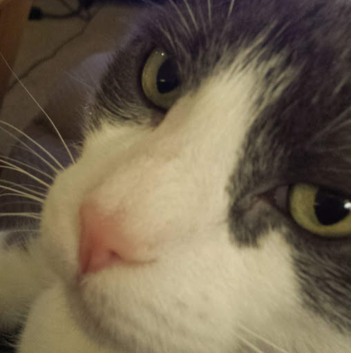 Jennifer Sexton Photo 18