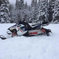 Arnie Greene Photo 3