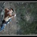 David O'Donnell Photo 25