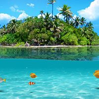 Daniel Dodd Photo 12