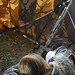 Annie Hunt Photo 23