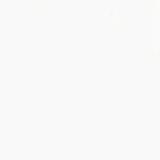 Shelley Huber Photo 3