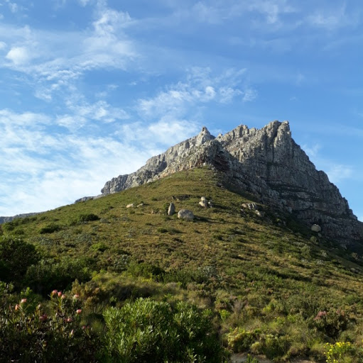 Ralph Reynolds Photo 24