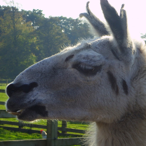 Glen Hunter Photo 38