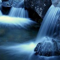 Stacey Herrington Photo 9