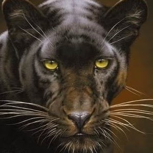 Douglas Maxwell Photo 20 Douglas Maxwell Photo 20