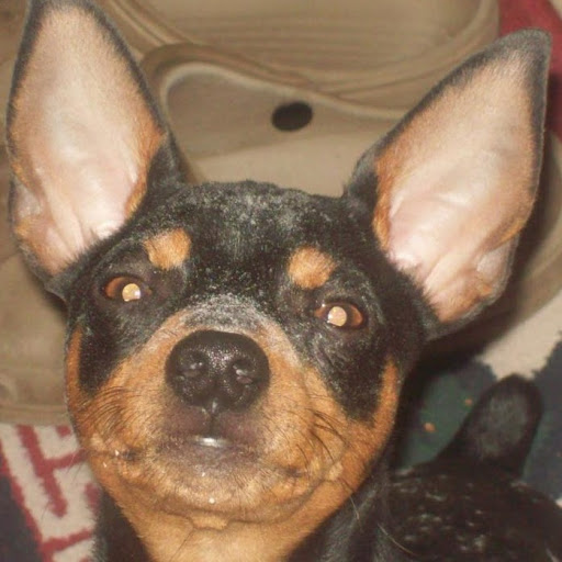 Cheryl Morrow Photo 16