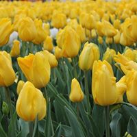 Arlene Gutierrez Photo 13