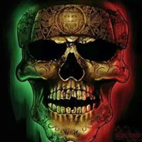 Rueben Rodriguez Photo 10