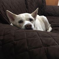 Allison Gilbert Photo 24