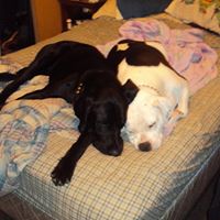 Kelley Patrick Photo 13