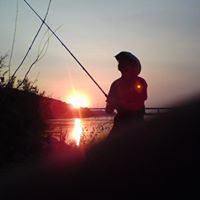 Mark Dowling Photo 16