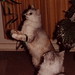 Roger Smothers Photo 15