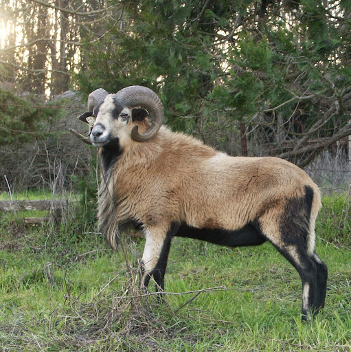 Rebecca Black Photo 34