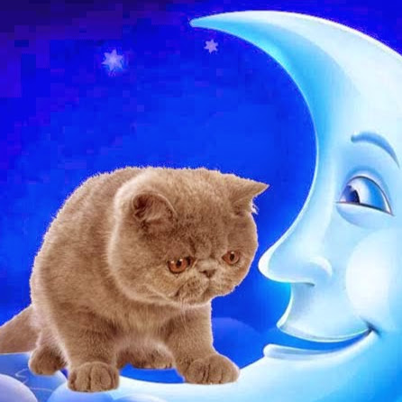 Janet Brady Photo 24