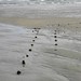Lynn Beach Photo 11