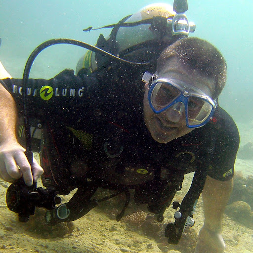 Paul Hartmann Photo 30 Paul Hartmann Photo 30