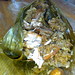 Chang Ma Photo 3