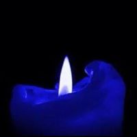 Janice Anders Photo 5