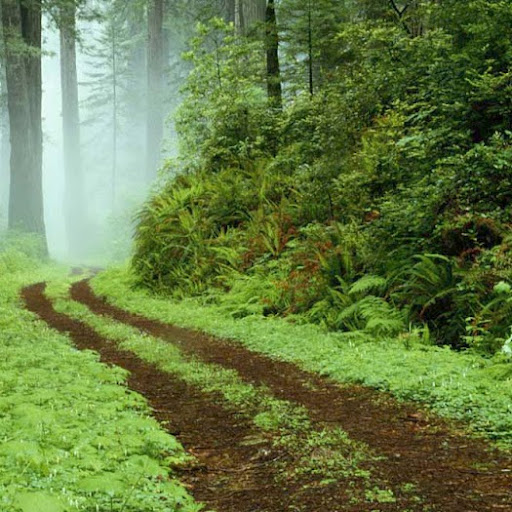 Victoria Nichols Photo 23