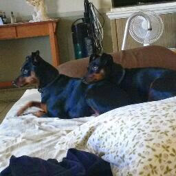 Pamela Patrick Photo 32