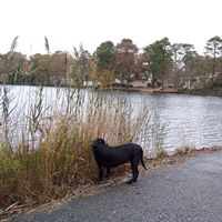 Susan Donahue Photo 11 Susan Donahue Photo 11