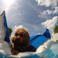 Kerry Andrews Photo 10