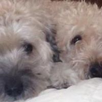 Jacqueline Madsen Photo 1