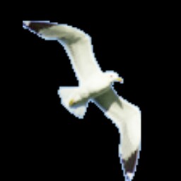 Drew Harrell Photo 5