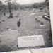 William Roberson Photo 40