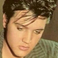 Tina Downey Photo 16