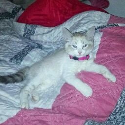 Charlotte Thompson Photo 16