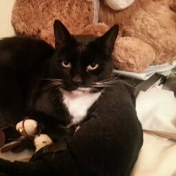 Cathy Baker Photo 34