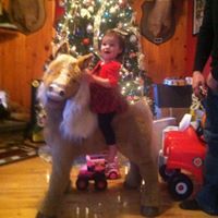 Debbie Ruth Photo 23