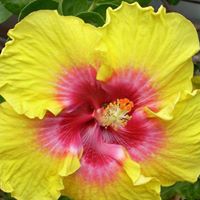 Elizabeth Katz Photo 18 Elizabeth Katz Photo 18