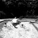 Vicki Strickland Photo 34