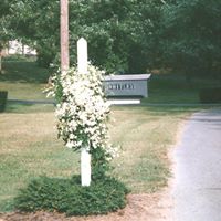 Barbara Whitley Photo 10