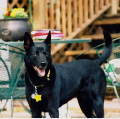 Nancy Weller Photo 8