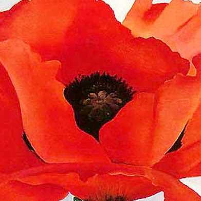 Debra Mcdowell Photo 2