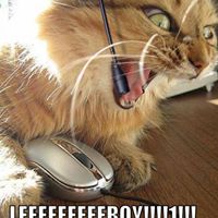 Leonard Ross Photo 51