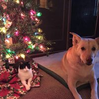 Nancy Kasper Photo 21