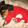 Christy Rogers Photo 4