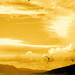 Lance Kite Photo 6